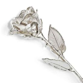 Special Silver Rose